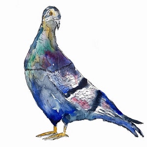 Pigeon Print | Pigeon Art | Watercolour Pigeon | Wildlife Print | Watercolour Bird Print | Bird Art | Bird Lover Gift | Pigeon Painting