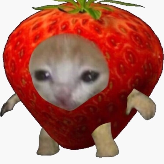 Strawberry Fruit Cat Meme Earrings- Mini Perler / Fuse Bead - Etsy Canada