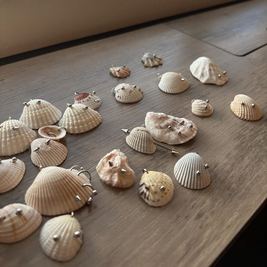 Shell Necklace Sticker Pierced Shell Necklace - Etsy
