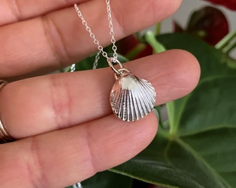 Silver shell  pendant necklace