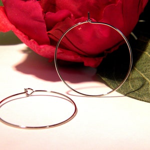 Puede incluir: Dos pendientes de aro de plata. Los pendientes son simples y de forma circular. Se muestran sobre un fondo blanco con una flor roja y una hoja verde.