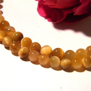5 Perle 6 mm - Tigerauge - Farbtönen Honig - Edelsteine Edelsteine - H47