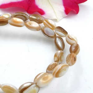 perle coquille - Coquillage eau douce, troué - coquillage tons beige, coquillage création bijoux tendance,  9 x 5 mm - 20 coquillages - Q245