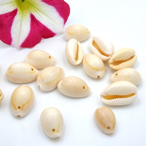 Cowrie shell, natural shell - holed shell bead - whole shells - beach jewelry - 10mm to 19mm - 50 shells - Q233