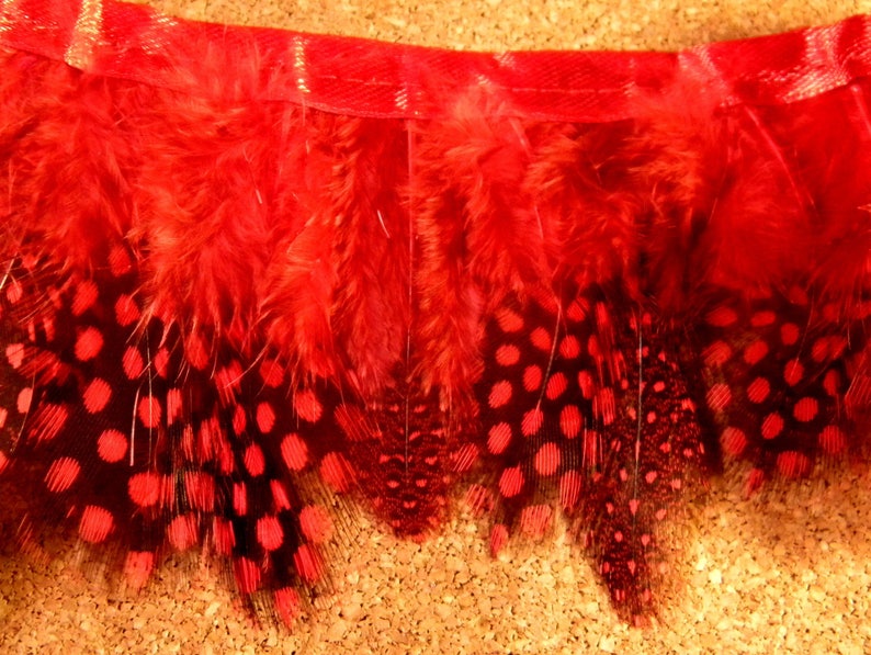 10 plume de pintade ou 10cm rouge 4.5 cm a 8.5 cm-monte sur biais PLU 13 image 2