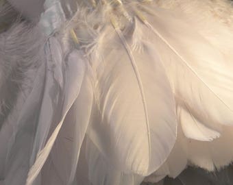 20 natural white goose feathers - 10 cm to 18 cm - mounted on bias-feather - like 48
