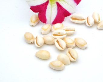 Kauri-Muschel, kleine natürliche Muschel – Muschelperle – beige Muschel – Strandarmband – 12 bis 14 mm – 50 Muscheln – Q263