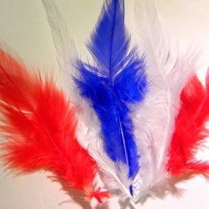 10 natural feather 10 to 16 cm-red 58 PLU image 1