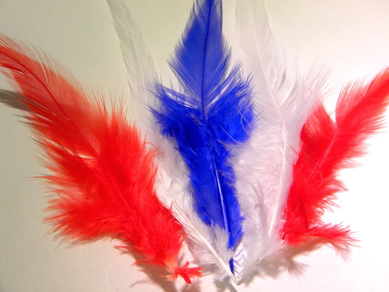 10 natural feather 10 to 16 cm-red 58 PLU image 1