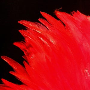 10 natural feather 10 to 16 cm-red 58 PLU image 3