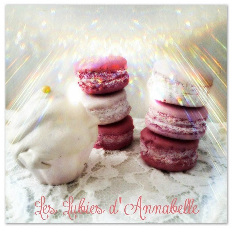 8 Macarons + 2 Cupcakes en Plâtre Teintés Dans La Masse Style Shabby