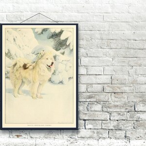 Eskimo Dog 1919, Fine Art Print image 2