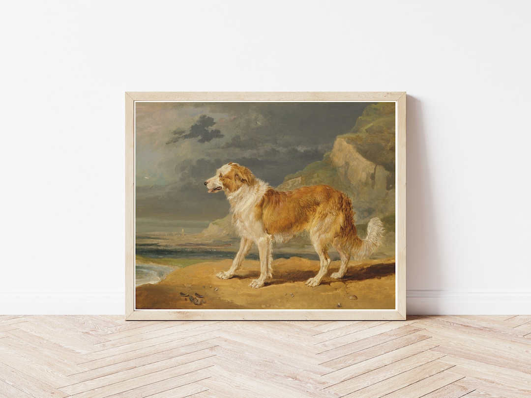 Collie Dog Portrait 1809 Oil Painting | Fine Art Print - Etsy