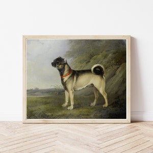 Pug Dog Portrait 1802 Oil Painting | Fine Art Print