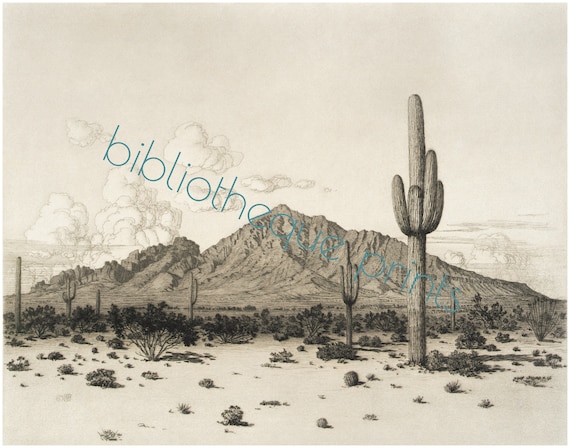 Phoenix Arizona Camelback Mountain 1926 Drawing | Fine Art Print