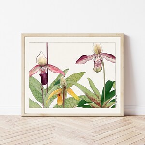 Orchidee Blumen 1917 Holzschnitt | Fine Art Druck