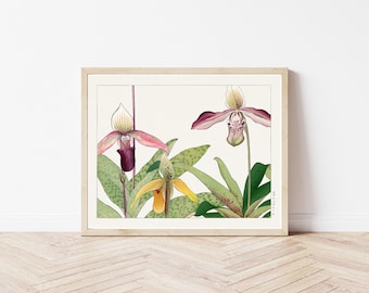 Flores de orquídea, 1917, grabado en madera/impresión artística