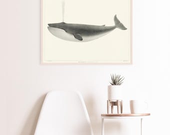 クジラ 1872年 自然史書籍の挿絵 | ファインアートプリント - Etsy 日本