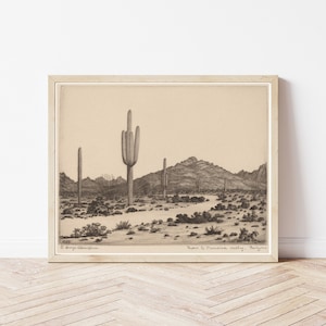 K&ouml;nnte beinhalten: Eine Schwarzwei&szlig;zeichnung einer W&uuml;stenlandschaft mit Saguaro-Kakteen und Bergen. Die Zeichnung tr&auml;gt den Titel "From to Paradise Valley, Arizona" und ist signiert mit "G. George  Whitestone".