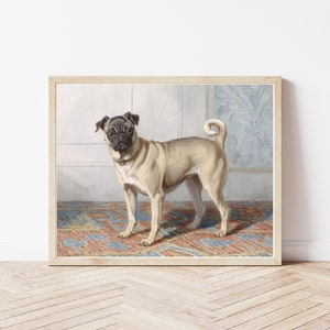 Pug Dog Portrait Circa 1895 Oil Painting | Fine Art Print
