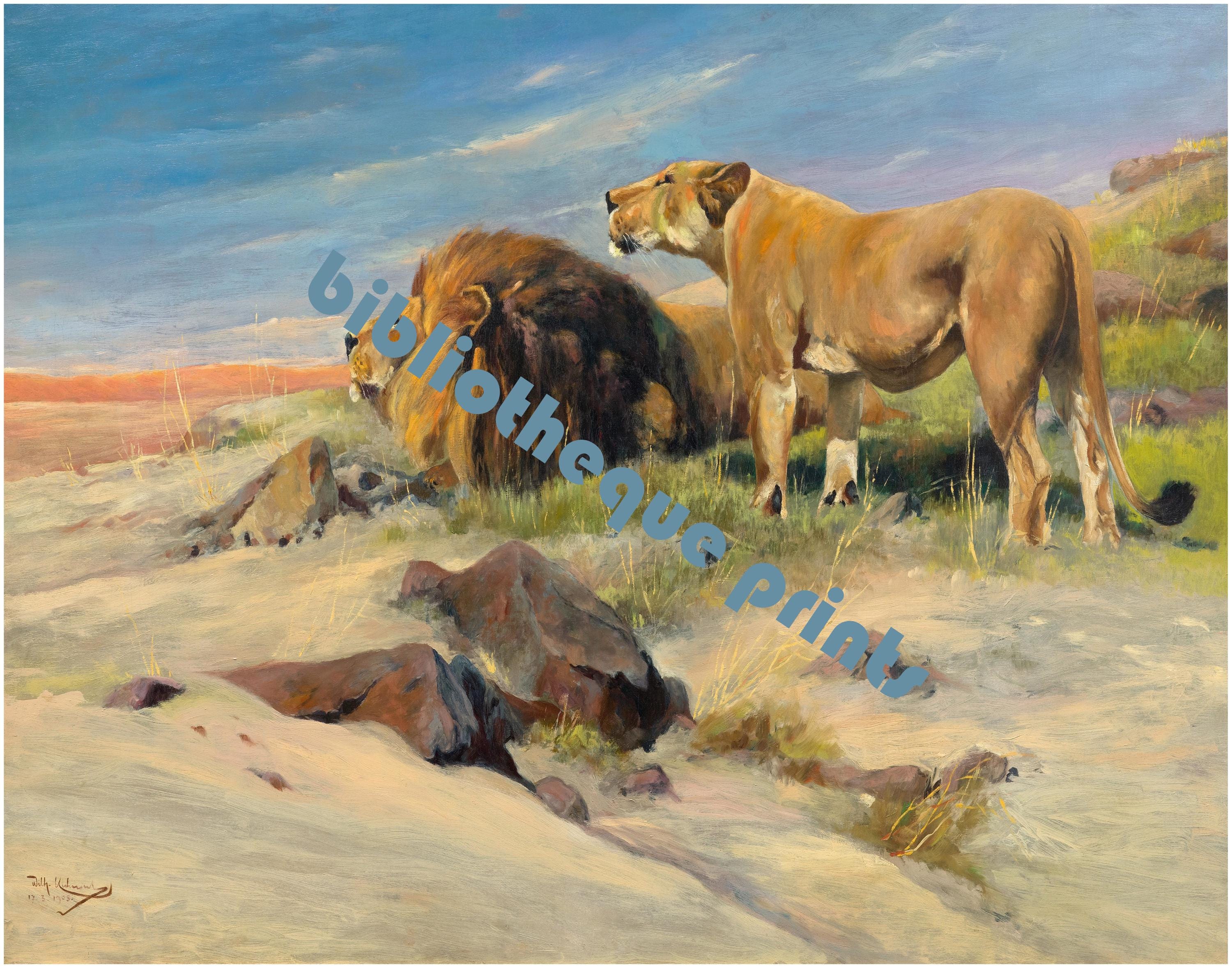 ライオンズ 1905 油絵 | ファインアートプリント - Etsy 日本