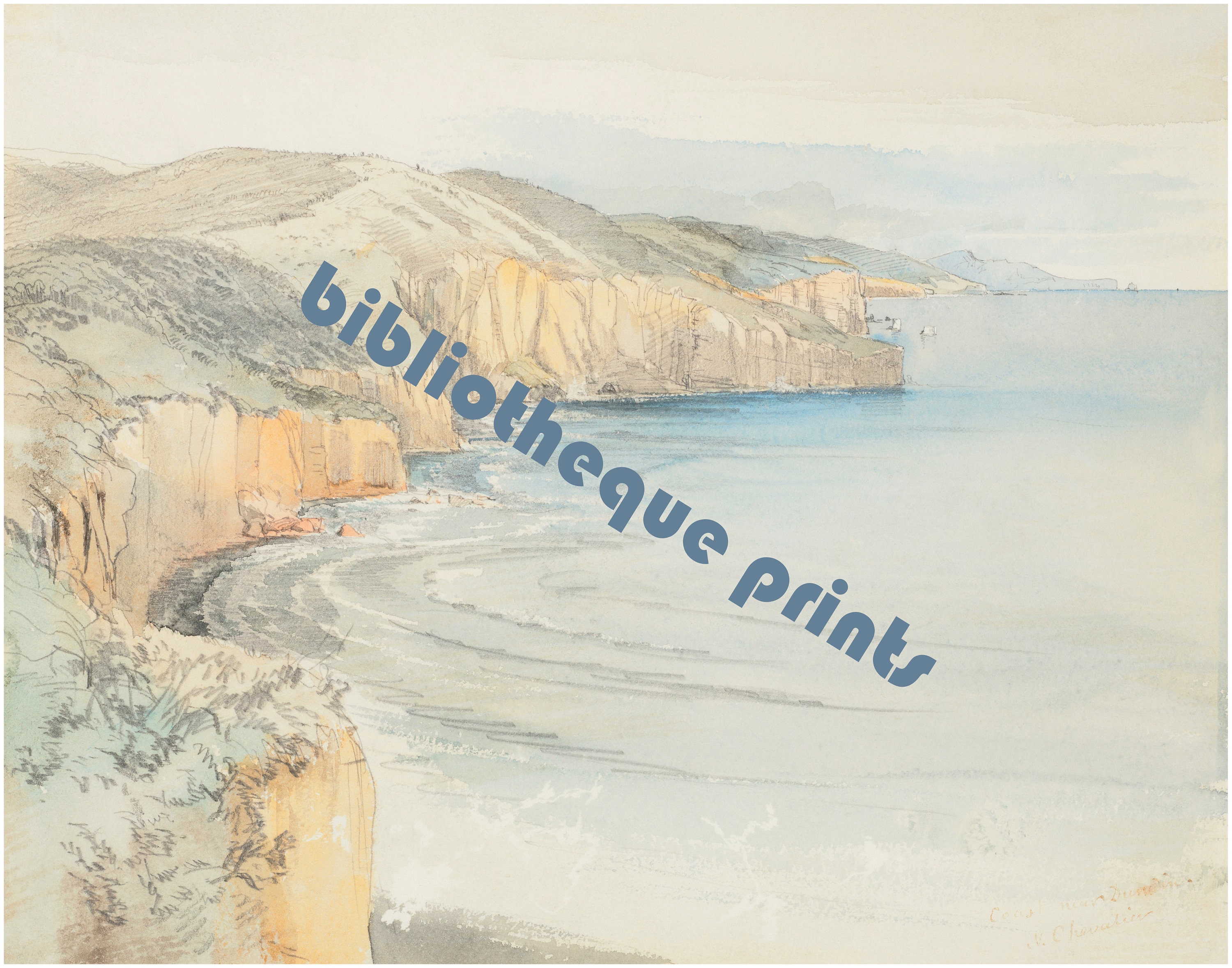 ニュージーランドの海岸、ダニーデン近郊、1865年 水彩画 | ファイン