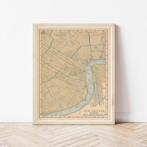 New Orleans Louisiana 1893 Map | Fine Art Print