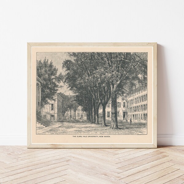 Yale University Etsy