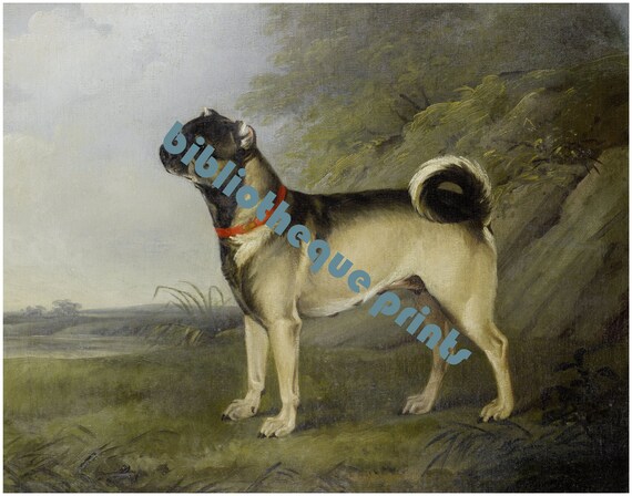 パグ犬の肖像画 1802年 油絵 | ファインアートプリント - Etsy 日本