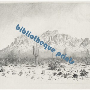 Puede incluir: Un grabado en blanco y negro de una cordillera en un paisaje des&eacute;rtico. Las monta&ntilde;as est&aacute;n en el fondo y hay cactus y otras plantas del desierto en primer plano.