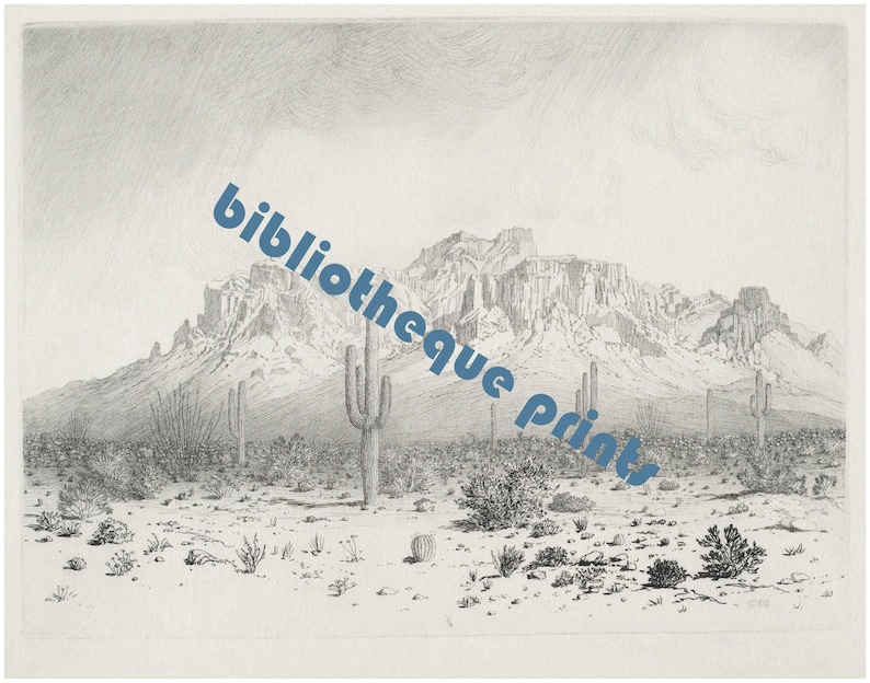 Puede incluir: Un grabado en blanco y negro de una cordillera en un paisaje des&eacute;rtico. Las monta&ntilde;as est&aacute;n en el fondo y hay cactus y otras plantas del desierto en primer plano.