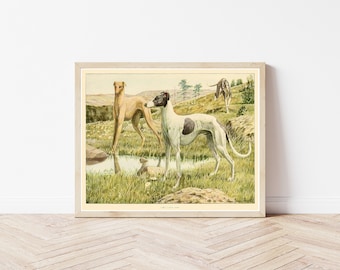Retrato de galgos, 1919. Ilustración de libro/impresión artística.