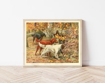 Impresión vintage de perros setter: ilustración de libro de 1919