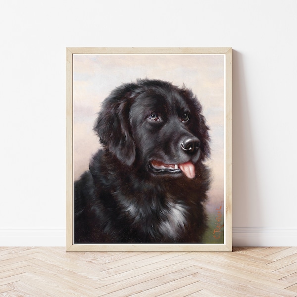 Newfoundland Vintage Art Etsy