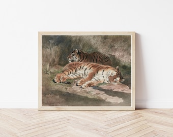 Sleeping Tigers 1887 Watercolor Painting | Fine Art Print