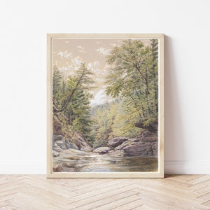 Catskill Mountains Nature Scene 1856 Illustration | Fine Art Print