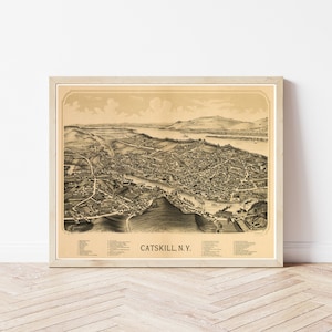 Mappa panoramica di Catskill, New York, 1889 / Stampa artistica