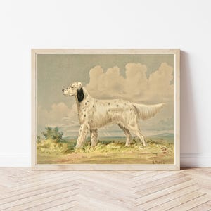 English Setter Dog Portrait 1880 Lithograph Illustration | Fine Art Print