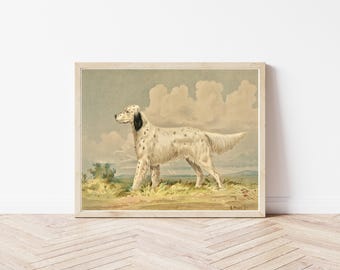 English Setter Dog Portrait 1880 Lithograph Illustration | Fine Art Print