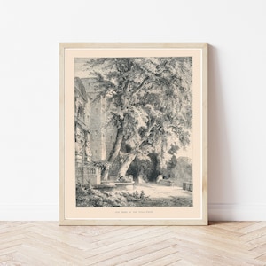 Comomeer Italië Villa d&#39;Este 1877 gravure illustratie | Kunstafdruk