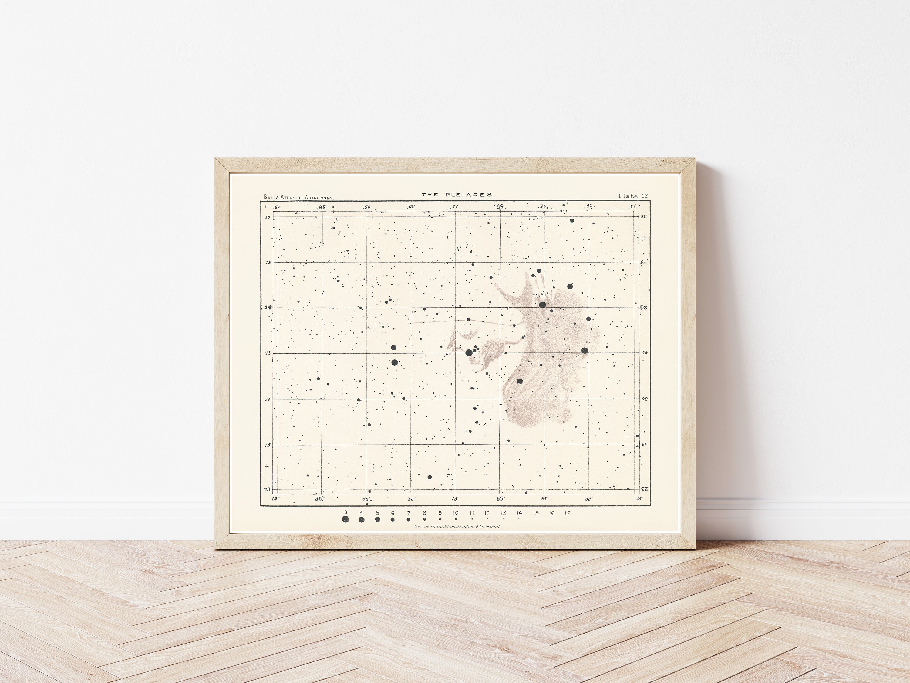 Pleiades 1892 Astronomy Illustration | Fine Art Print - Etsy Israel