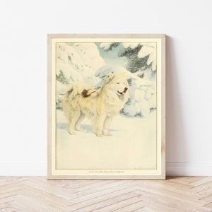 Eskimo Dog 1919, Fine Art Print image 1