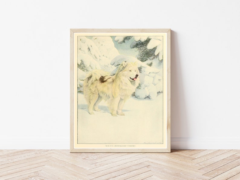 Eskimo Dog 1919, Fine Art Print image 1
