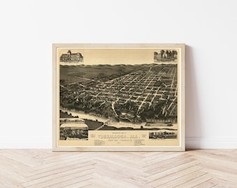 Tuscaloosa Alabama 1887 Vogelansicht Karte | Fine Art Druck