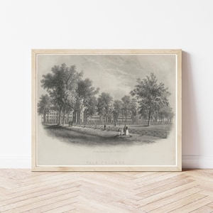 Yale University View 1858 Lithograph Illustration | Fine Art Print