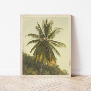 Palm Tree Jamaica 1865 Oil Painting | Fine Art Print