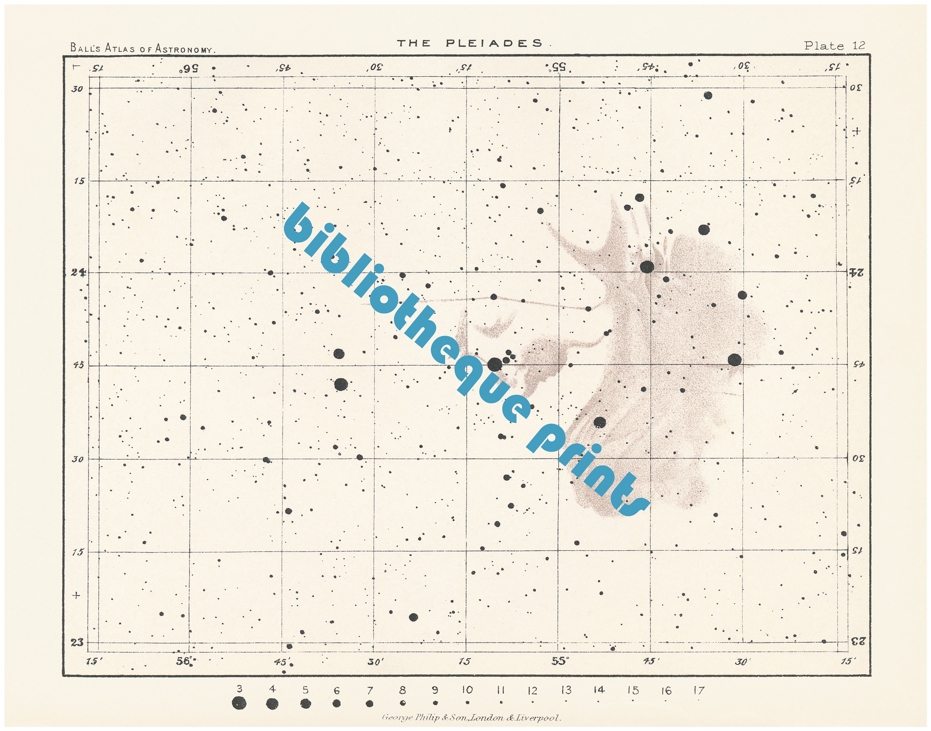 Pleiades 1892 Astronomy Illustration | Fine Art Print - Etsy Israel