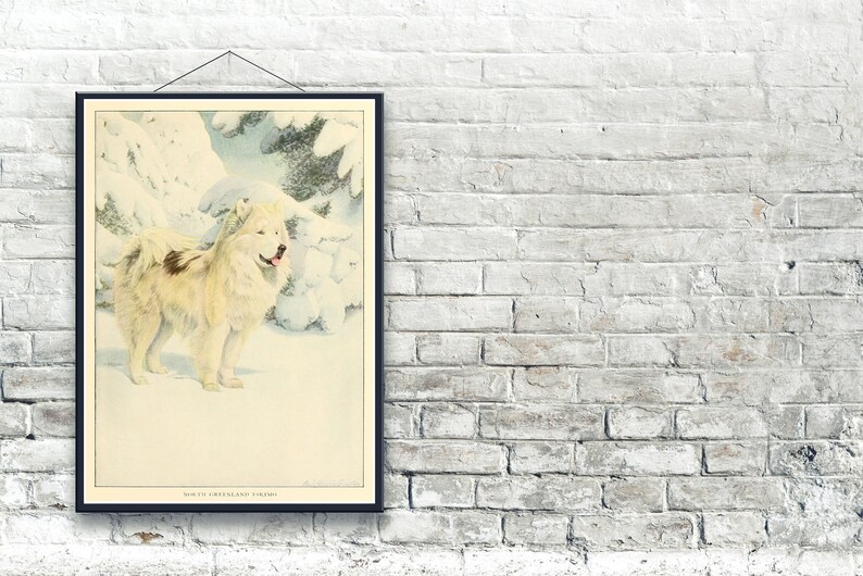 Eskimo Dog 1919, Fine Art Print image 2