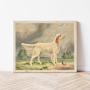 Irish Setter Dog Portrait 1880 Lithograph Illustration | Fine Art Print