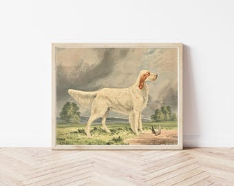 Retrato de perro setter irlandés, 1880, ilustración litográfica/impresión artística